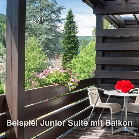 Kurgarten-hotel Hotel 3*