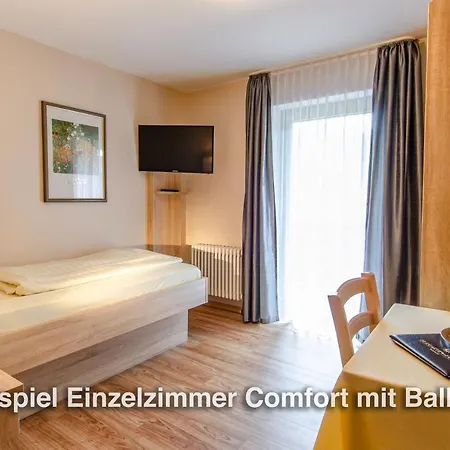 Kurgarten-hotel 3* Wolfach