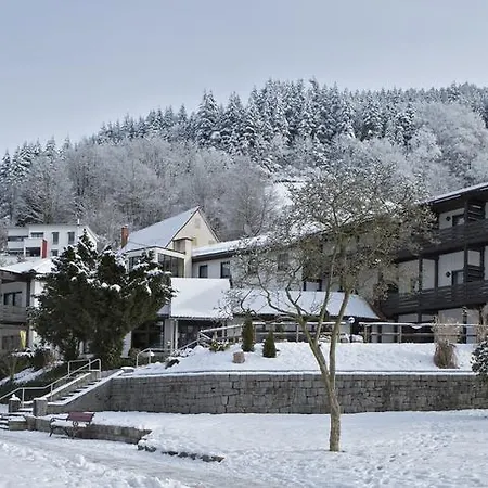 Kurgarten-hotel Hotel Wolfach