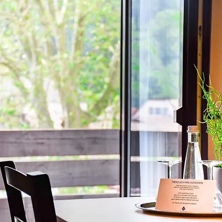 Kurgarten-hotel וולפאך