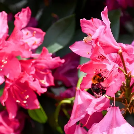 Kurgarten-hotel Hotel Wolfach