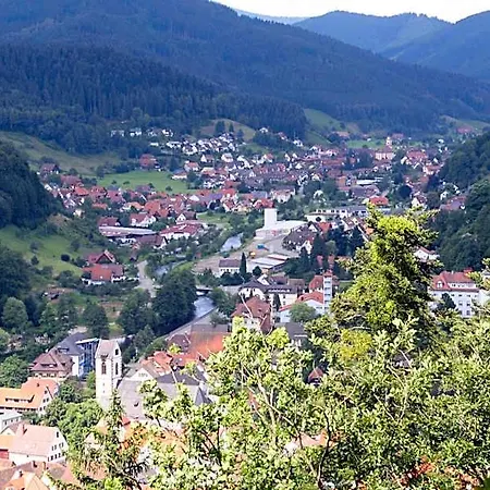 Kurgarten-hotel Wolfach