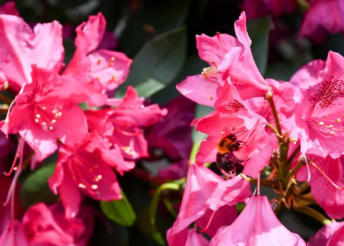 Kurgarten-hotel Hotel Wolfach