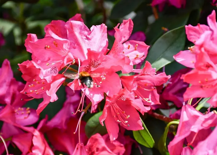 Kurgarten-hotel Hotel 3*